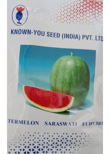 Known-You Saraswati F1 Hy.